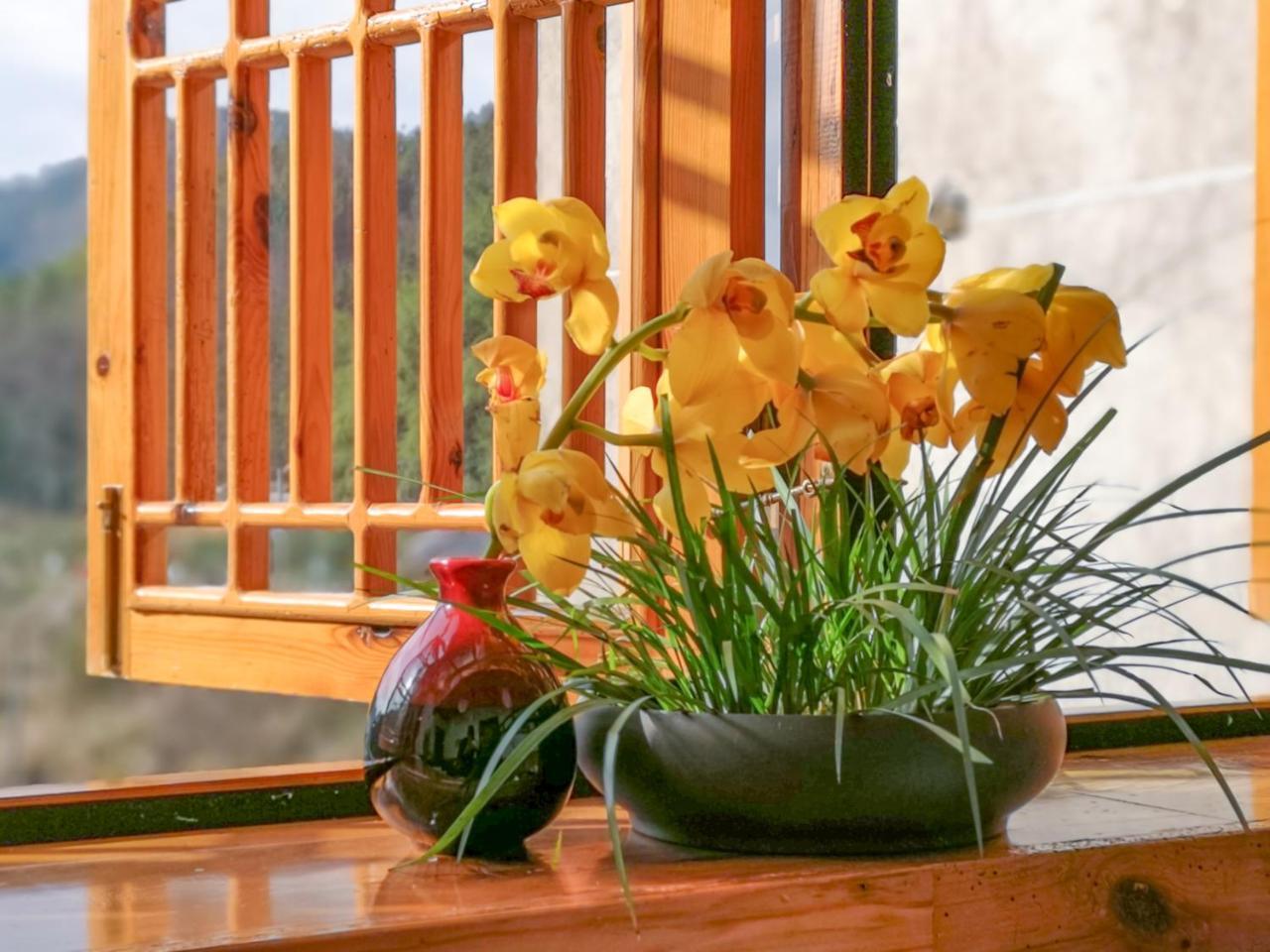 Zhangjiajie National Park Yuelu Homestay المظهر الخارجي الصورة